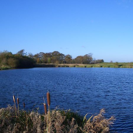 Готель Barmston Farm Кінгстон-апон-Галл Екстер'єр фото