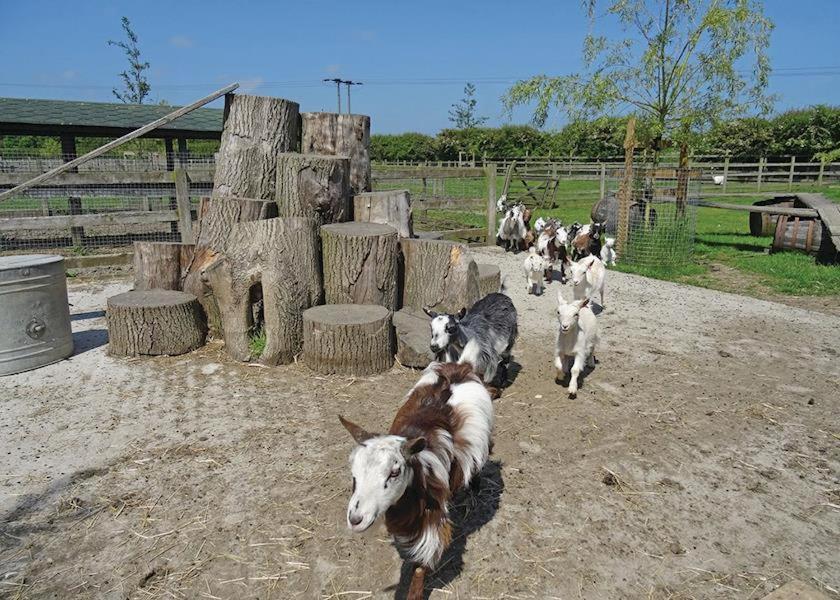 Готель Barmston Farm Кінгстон-апон-Галл Екстер'єр фото